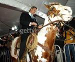 Viggo Mortensen arrives at the Hidalgo premiere astride TJ, one of the horses who played the title role of Hidalgo.
