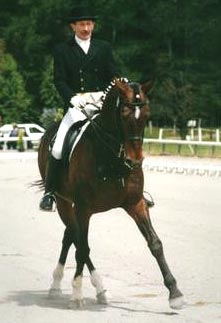Uraeus, who played Brego, competing in dressage